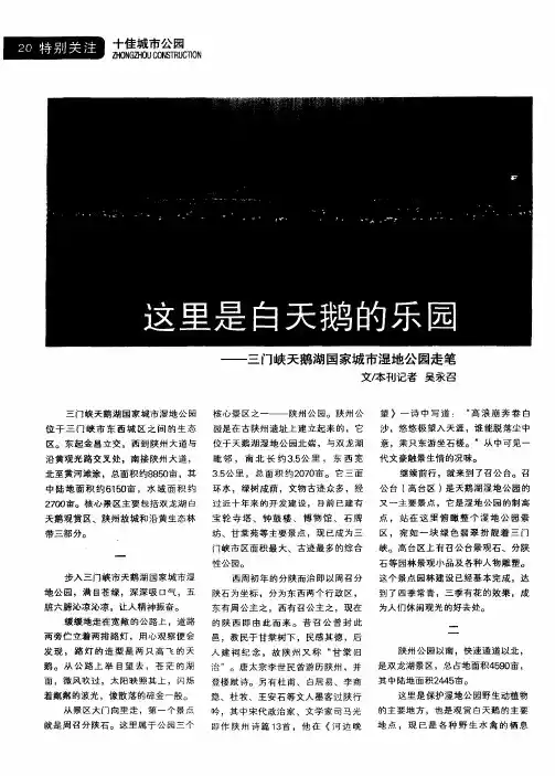 这里是白天鹅的乐园——三门峡天鹅湖国家城市湿地公园走笔