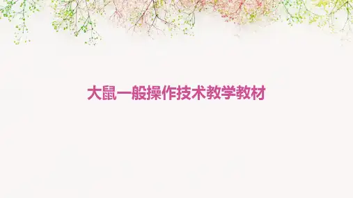 大鼠一般操作技术教学教材