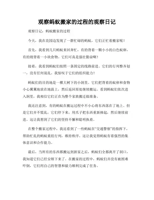 小学三年级作文观察蚂蚁搬家的过程的观察日记