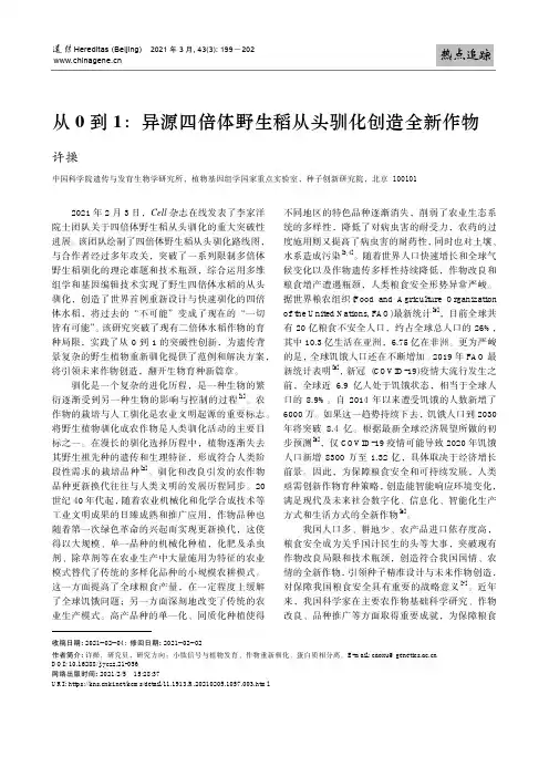 从0到1异源四倍体野生稻从头驯化创造全新作物