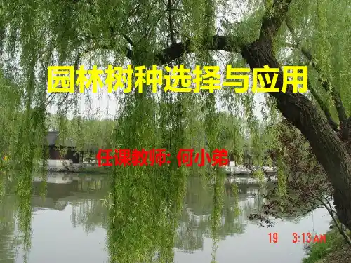 园林树种选择与应用备课讲稿