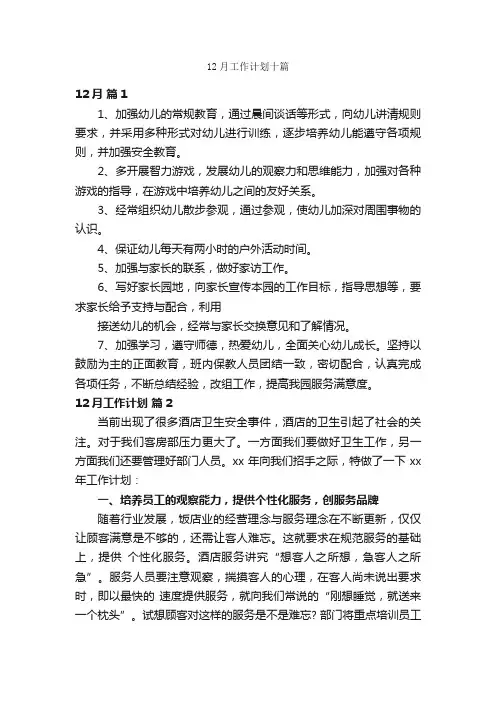 12月工作计划十篇