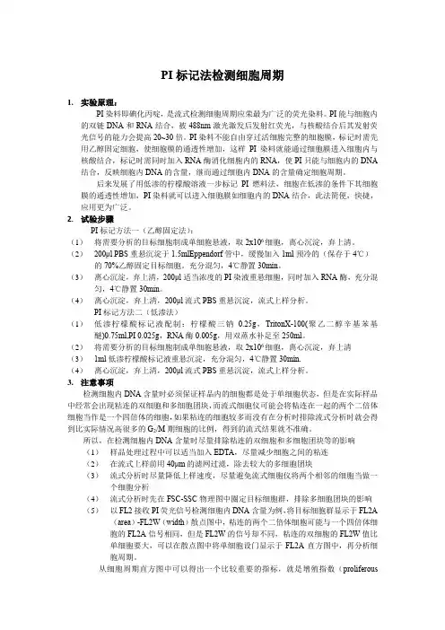 PI标记法检测细胞周期