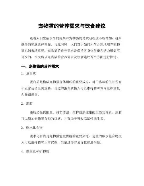宠物猫的营养需求与饮食建议