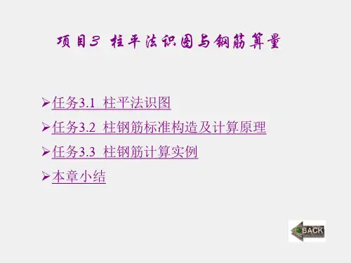 《平法识图与钢筋算量》课件第三章