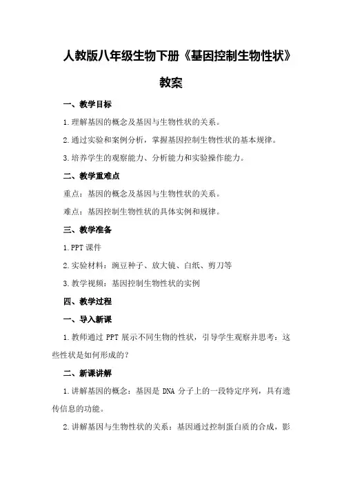 人教版八年级生物下册《基因控制生物性状》教案