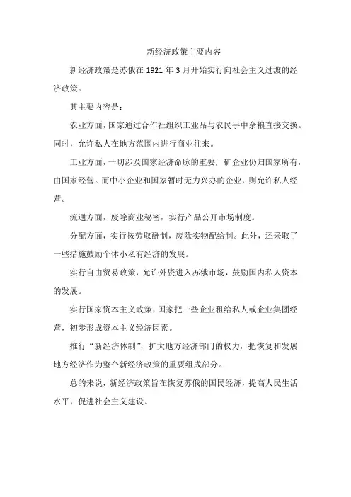 新经济政策主要内容