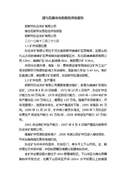 煤与瓦斯突出危险性评估报告