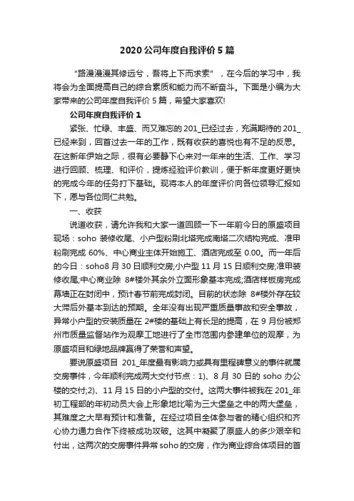 2020公司年度自我评价5篇