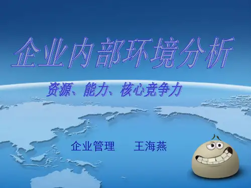 战略管理 内部环境分析
