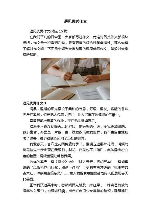 遇见优秀作文