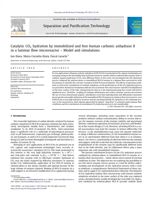 Catalytic CO2 hydration by immobilized and free human carbonic anhydrase II