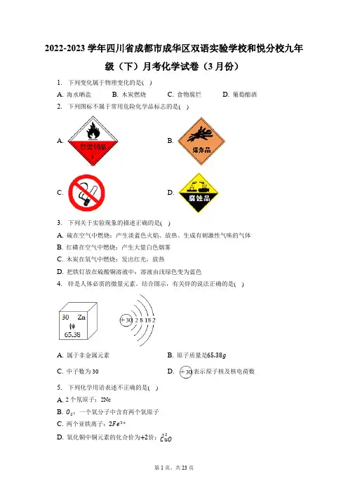 2022-2023学年四川省成都市成华区双语实验学校和悦分校九年级(下)月考化学试卷(附答案详解)