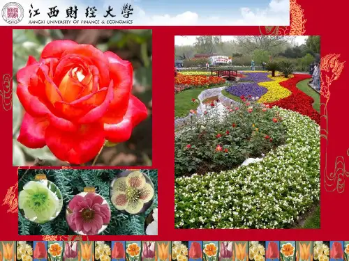 园林植物的观赏特性
