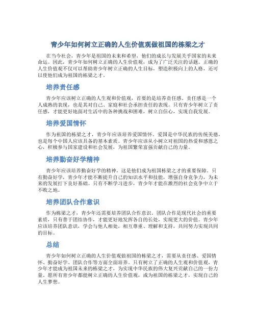青少年如何树立正确的人生价值观做祖国的栋梁之才
