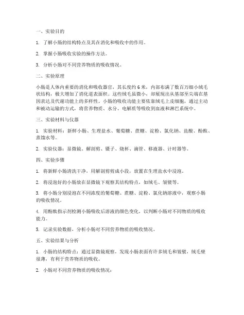 小肠吸收实验报告