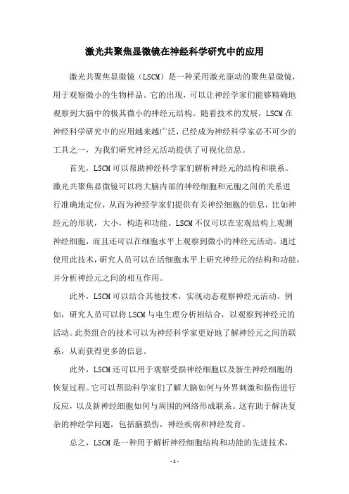 激光共聚焦显微镜在神经科学研究中的应用