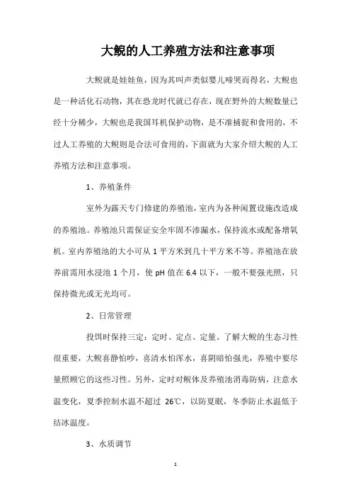 大鲵的人工养殖方法和注意事项