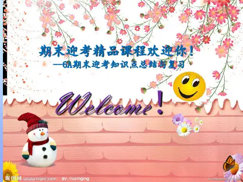 沪教版六上英语知识点总结(精选)