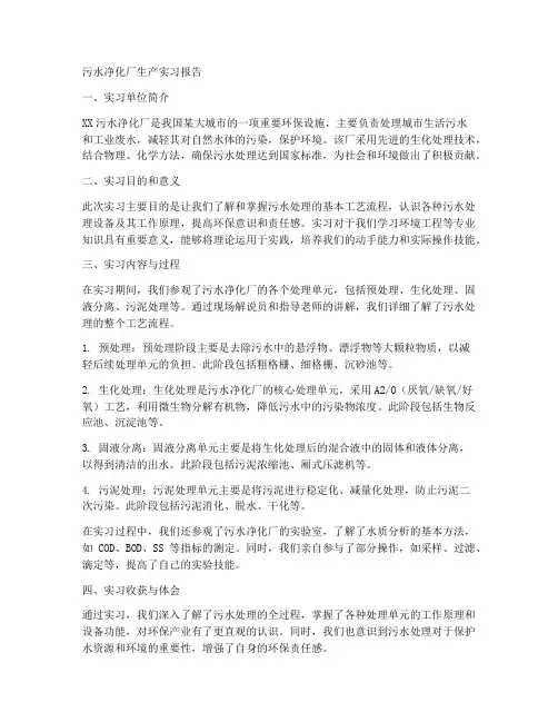 污水净化厂生产实习报告