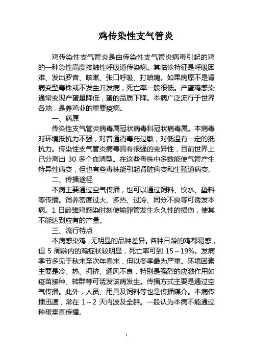 鸡传染性支气管炎