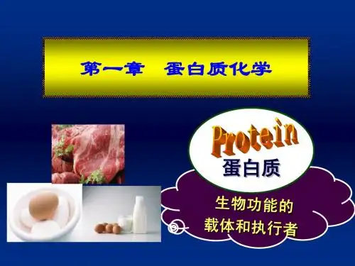 生物化学第一章 蛋白质化学