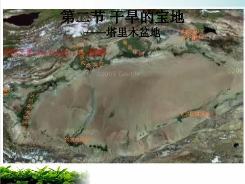 人教版八下地理 干旱的宝地 塔里木盆地 课件 (共24张PPT)