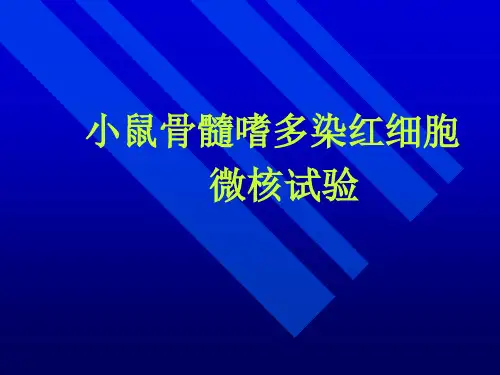 细胞生物实验：微核实验