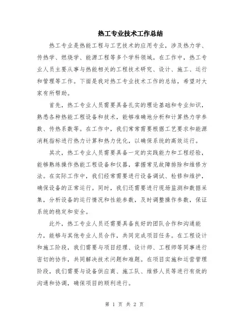 热工专业技术工作总结