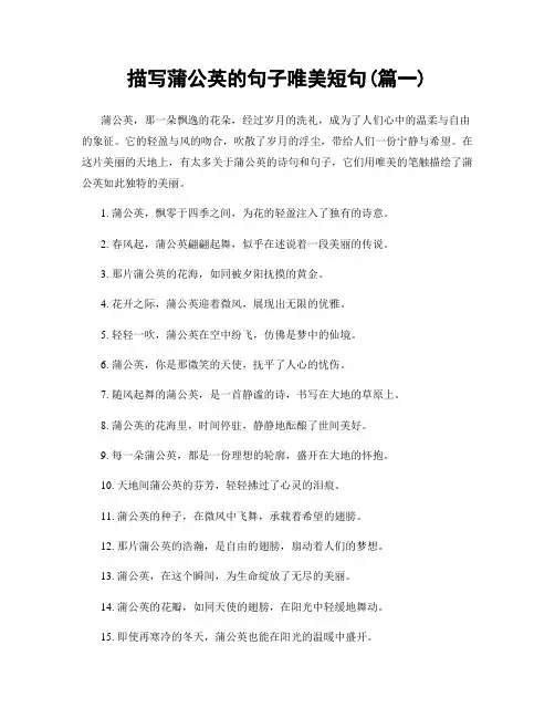 描写蒲公英的句子唯美短句(精选2篇)