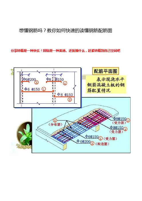 教你如何快速的读懂钢筋配筋图