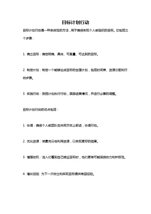 目标计划行动