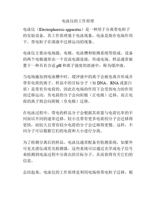 电泳仪的工作原理