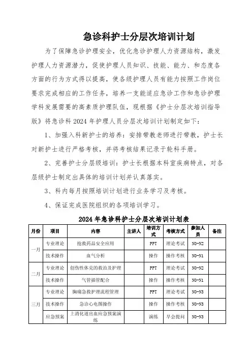 急诊科护士分层次培训计划
