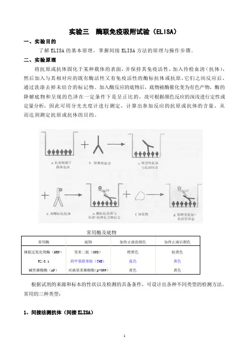 酶联免疫吸附试验