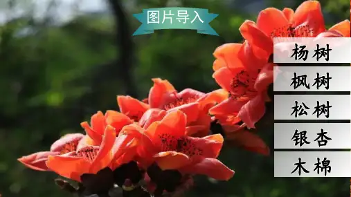 (教学课件)识字2 树之歌二年级上册语文人教版