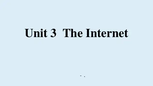 《The Internet》PPT课件