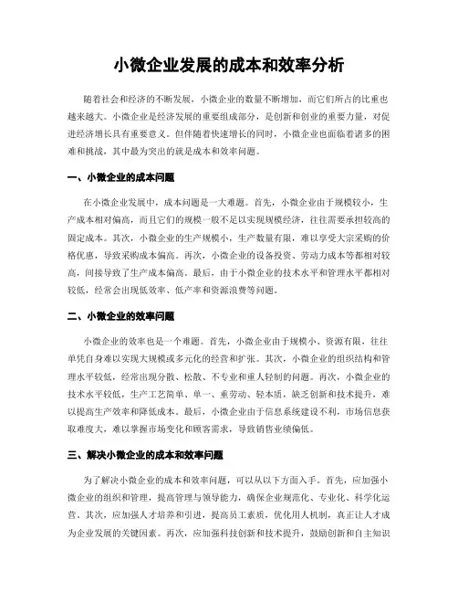 小微企业发展的成本和效率分析