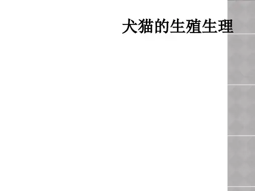 犬猫的生殖生理