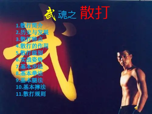 武魂之 散打共17页
