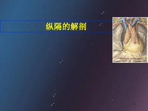 纵隔的解剖(课堂PPT)