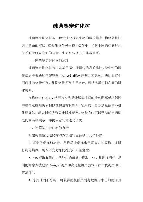 纯菌鉴定进化树