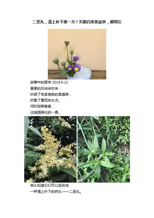 二至丸，清上补下第一方！失眠白发夜尿多，都用它