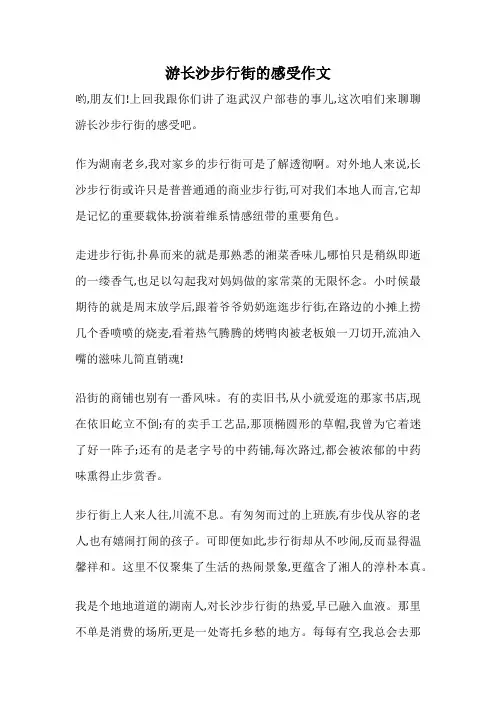 游长沙步行街的感受作文