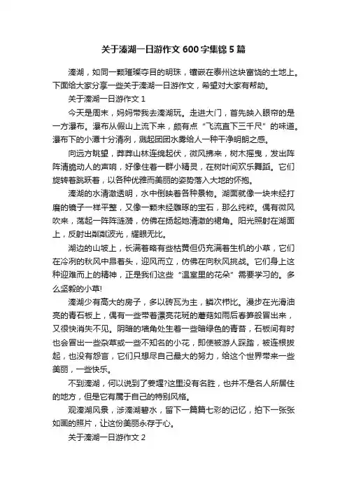 关于溱湖一日游作文600字集锦5篇
