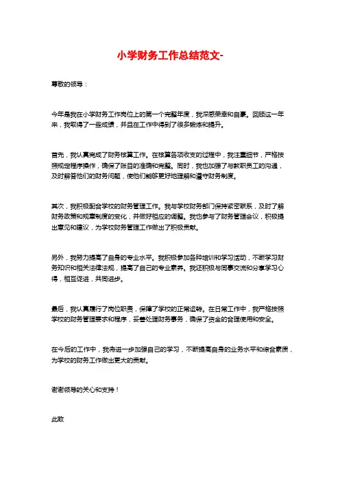 小学财务工作总结范文-