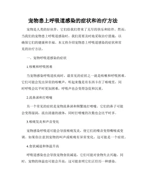 宠物患上呼吸道感染的症状和治疗方法