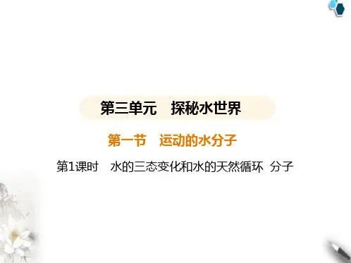 鲁教版初中九年级化学上册第三单元探秘水世界第一节第1课时水的三态变化和水的天然循环分子课件