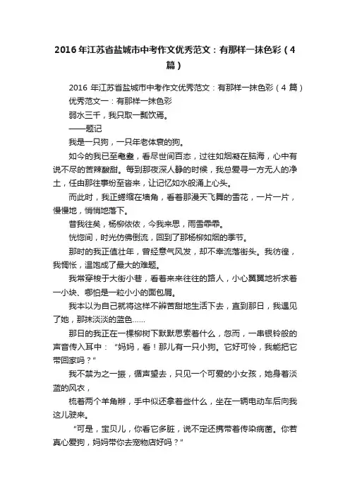 2016年江苏省盐城市中考作文优秀范文：有那样一抹色彩（4篇）