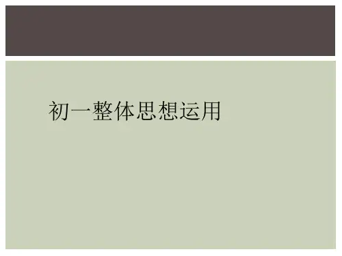 初一整体思想运用